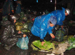 Clip: Nơm nớp mưu sinh trước giờ bão số 5 đổ bộ