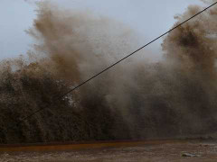 Clip: Bão vào trung tâm thành phố Hạ Long, Quảng Ninh