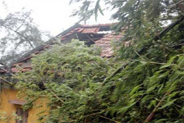 Cận cảnh sức tàn phá của bão Jebi