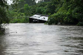 Quảng Ninh: 2 công nhân thiệt mạng trong bão số 5