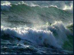 Bão giật cấp 11 sầm sập tiến vào miền Bắc