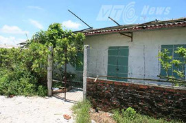 Bị đâm chết chỉ vì... ngắm chó mới mua