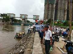 Người Hà Nội tranh nhau mua cá sông Tô Lịch rẻ như cho