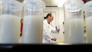 Nhiễm chất phóng xạ, sữa New Zealand bị thu hồi