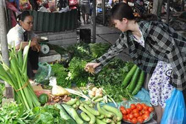 Lo bão dữ, đổ xô mua trữ thực phẩm