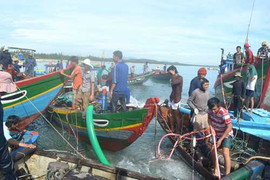 Ảnh: Đổ xô ‘hôi của' trên tàu đắm ở Quảng Ngãi