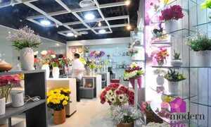 Khám phá thế giới đồ gia dụng hàng hiệu tại Modern Life