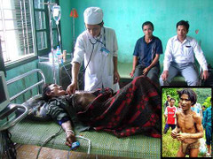 Giải mã 'người rừng' 40 năm sống trên cây