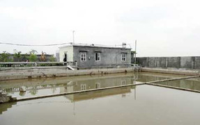 Hai cháu bé ngã xuống bể nước chết thương tâm