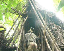 Thực hư chuyện 'người rừng' bị đốt chòi 'tổ chim'