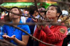 Ảnh: Đứng hàng giờ hứng hoa Sa La ngày Vu Lan