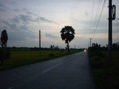 Thiếu nữ bị 3 yêu râu xanh hại đời giữa đồng