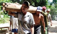 Hình ảnh 'người rừng' hớn hở xây nhà mới