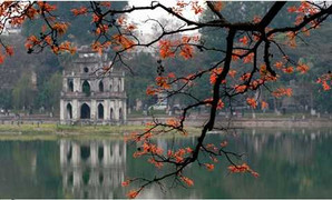 Triển lãm ảnh và tuần phim Việt Nam – Điểm hẹn thế giới