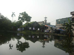 Vương quốc bầy đàn đa cấp: Một ngày ở 'khu ổ chuột'