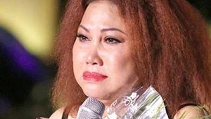 'Điểm mặt' sao Việt nếm 'trái đắng' kinh doanh