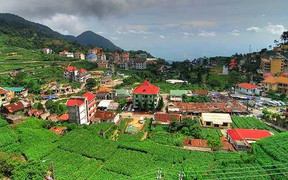 Vĩnh Phúc muốn xây casino, trường đua ngựa