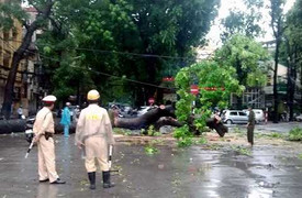 Hà Nội: Mưa lớn, đường ngập úng, cây xanh đổ hàng loạt