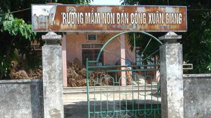 Ngôi làng 10 năm không có đám cưới