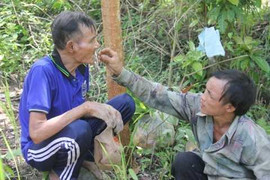 Hình ảnh mới nhất về cha con 'người rừng'