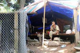 Đại gia đình 'người rừng' tá túc trong túp lều 10m2