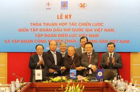 Các doanh nghiệp lớn liên kết cùng phát triển