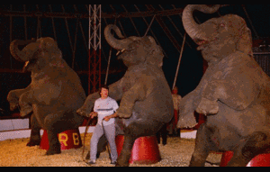 Voi 2 tấn nghiền nát người