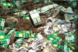 Phó Thủ tướng chỉ đạo xử lý vụ chôn thuốc sâu rúng động