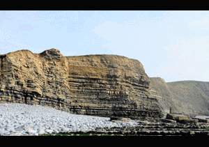 Cứu chó, nam thanh, nữ tú thương vong