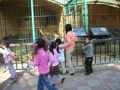 Gấu tấn công, cắn nát hai tay bé trai 5 tuổi