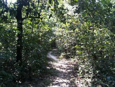 Vờ đến trao học bổng, hiếp dâm nữ sinh