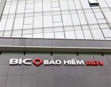 Bảo hiểm BIC bị tố 'cài hồ sơ giả né bồi thường'