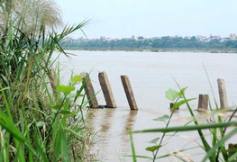 Phát hiện thi thể phụ nữ trôi dạt trên sông Hồng