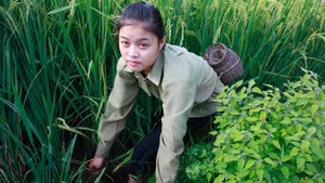 Những nữ sinh quần quật kiếm tiền vào đại học