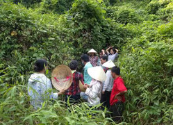 Vụ chôn thuốc sâu, cháy ở Hải Dương… chớ “hòa cả làng”!