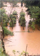 Số phận 11 người bị lũ cuốn trôi ở Đăk Lăk