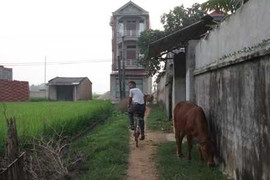 Kỳ lạ ngôi làng cứ nuôi con '4 chân' là chết