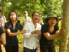 Khe Ang cạn nước mắt trong lũ dữ