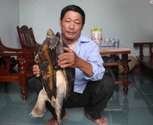 Hàng ngàn người đổ xô đi xem