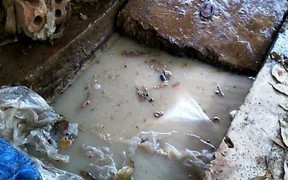 Vụ chôn hóa chất: Giám đốc đổ thừa cho 'lãnh đạo trước'