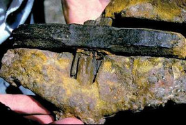 Chiếc búa sắt 140 triệu năm thách thức các nhà khoa học