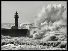 16h chiều nay, bão Wutip đổ bộ Hà Tĩnh – Quảng Trị