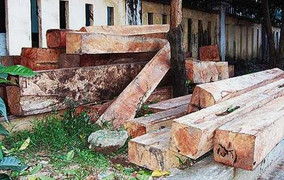 Một phóng viên báo Thanh Niên bị bắt