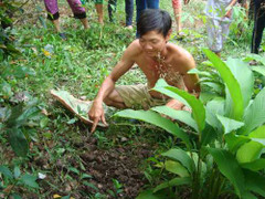 Clip: Cả xóm lao vào cứu bé sơ sinh bị chôn sống