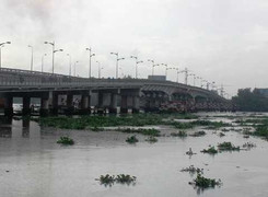 Nam thanh niên gào thét, lao xuống sông Sài Gòn tự tử