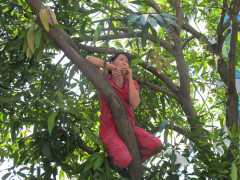 Hai phụ nữ trèo cây ăn bánh mì, đường phố tắc nghẽn