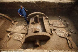 Phát hiện thành phố thịnh đạt 3000 năm trước ở Iraq