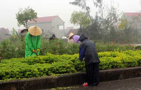 Quảng Bình: Chuẩn bị Quốc tang Đại tướng trong mưa lớn