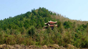 Đến Quảng Bình đưa tang Đại tướng bằng phương tiện gì?