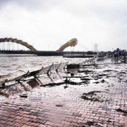 Trái đất nóng lên, 150.000 người Việt có thể chết